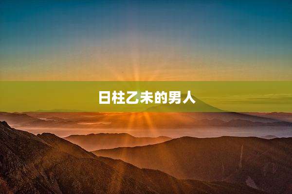 日柱乙未的男人