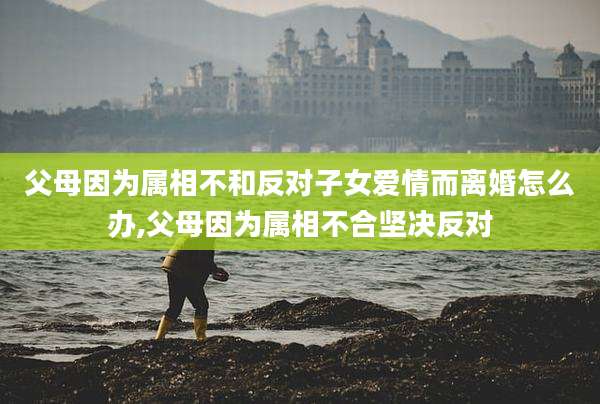 父母因为属相不和反对子女爱情而离婚怎么办,父母因为属相不合坚决反对