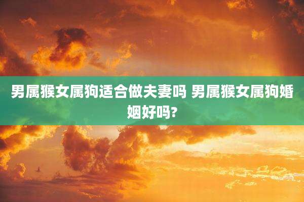 男属猴女属狗适合做夫妻吗 男属猴女属狗婚姻好吗?