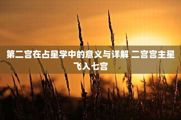 第二宫在占星学中的意义与详解 二宫宫主星飞入七宫