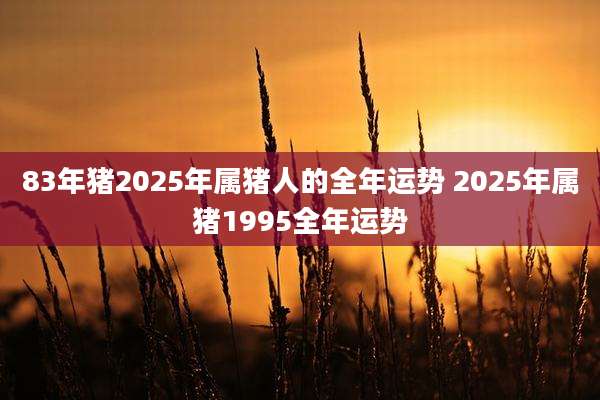83年猪2025年属猪人的全年运势 2025年属猪1995全年运势