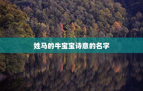 姓马的牛宝宝诗意的名字