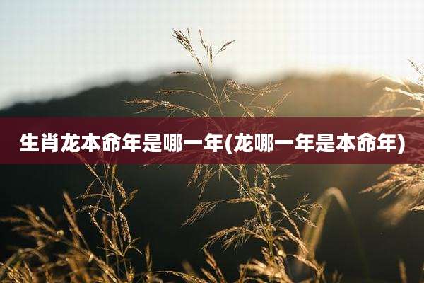 生肖龙本命年是哪一年(龙哪一年是本命年)