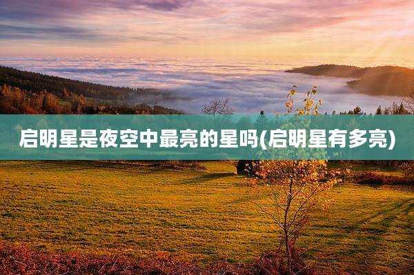 启明星是夜空中最亮的星吗(启明星有多亮)
