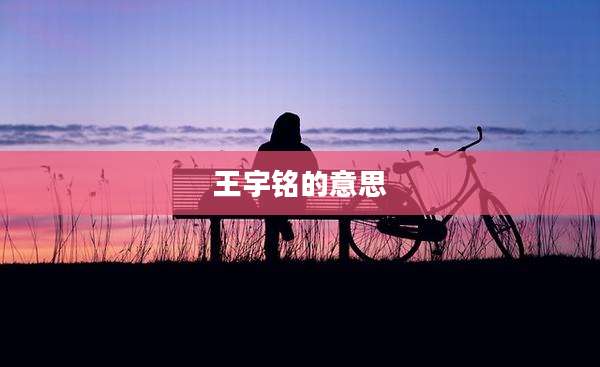 王宇铭的意思
