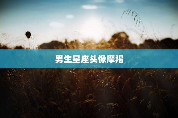 男生星座头像摩羯