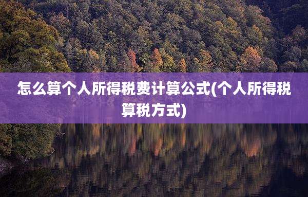 怎么算个人所得税费计算公式(个人所得税算税方式)