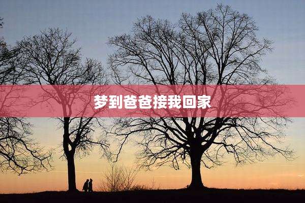 梦到爸爸接我回家