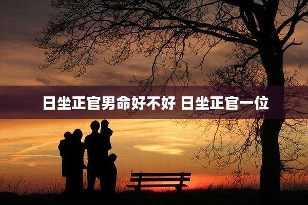 日坐正官男命好不好 日坐正官一位
