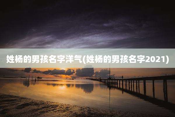 姓杨的男孩名字洋气(姓杨的男孩名字2021)
