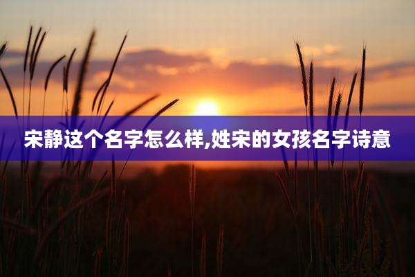 宋静这个名字怎么样,姓宋的女孩名字诗意