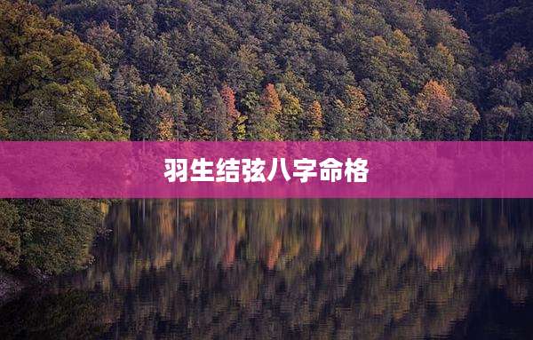羽生结弦八字命格