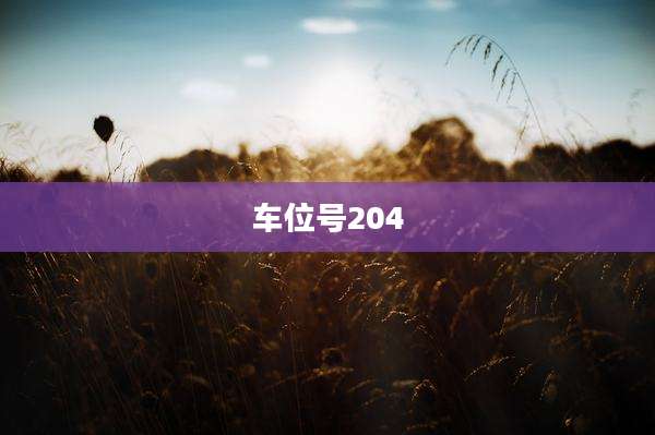 车位号204