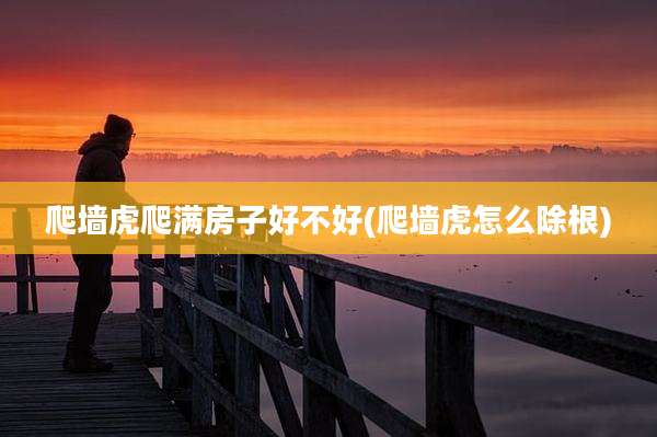 爬墙虎爬满房子好不好(爬墙虎怎么除根)