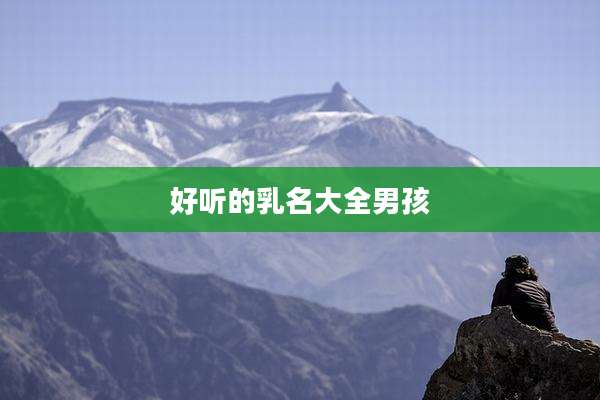好听的乳名大全男孩