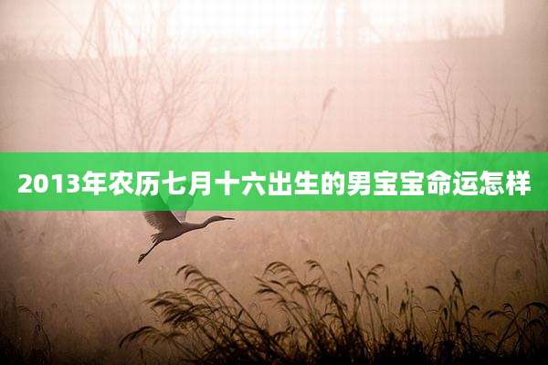 2013年农历七月十六出生的男宝宝命运怎样
