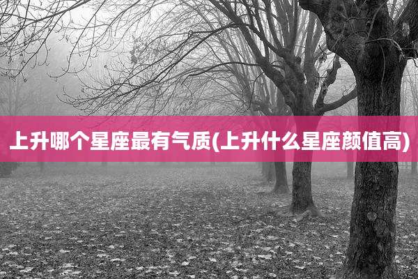 上升哪个星座最有气质(上升什么星座颜值高)