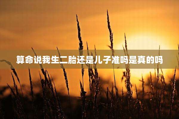 算命说我生二胎还是儿子准吗是真的吗