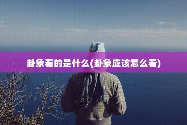 卦象看的是什么(卦象应该怎么看)