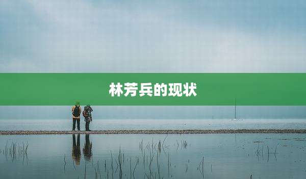 林芳兵的现状