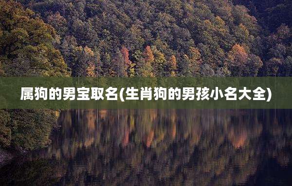 属狗的男宝取名(生肖狗的男孩小名大全)