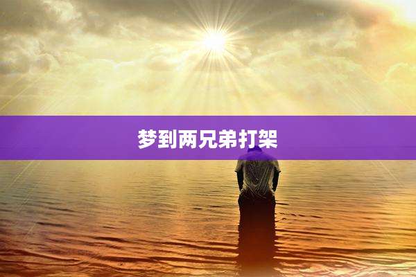 梦到两兄弟打架