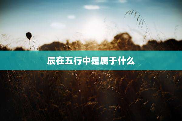 辰在五行中是属于什么