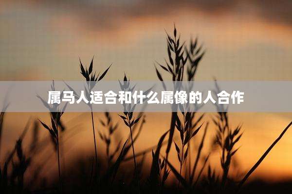 属马人适合和什么属像的人合作