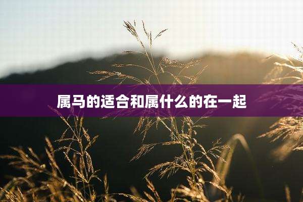 属马的适合和属什么的在一起