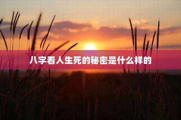 八字看人生死的秘密是什么样的