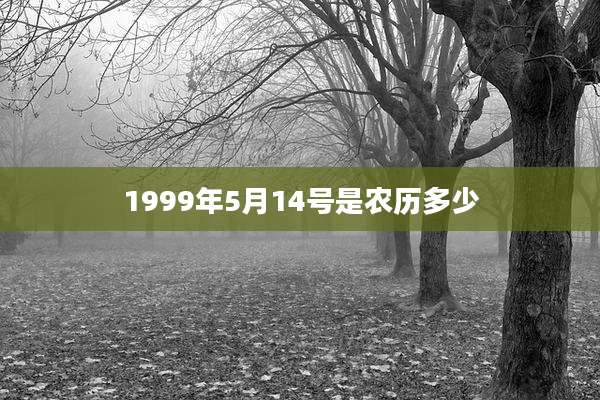 1999年5月14号是农历多少