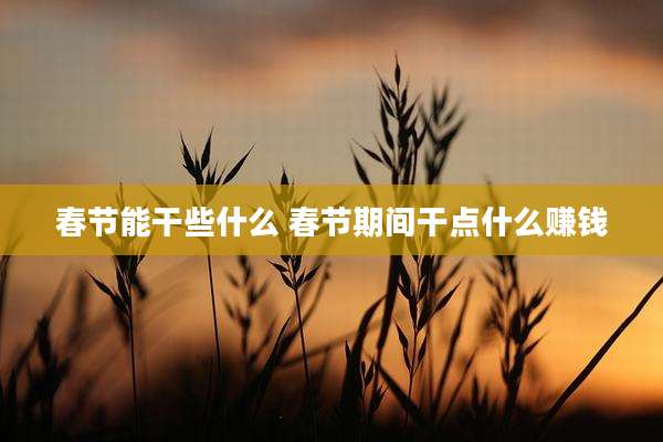 春节能干些什么 春节期间干点什么赚钱