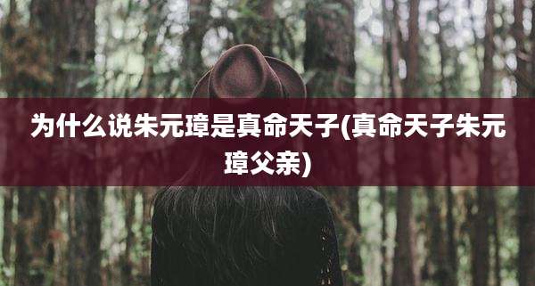 为什么说朱元璋是真命天子(真命天子朱元璋父亲)