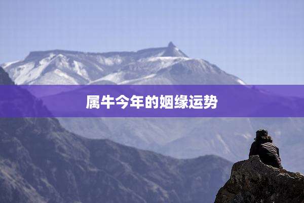 属牛今年的姻缘运势