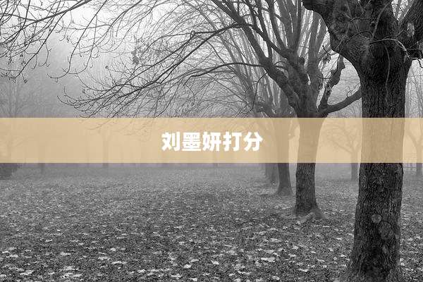 刘墨妍打分