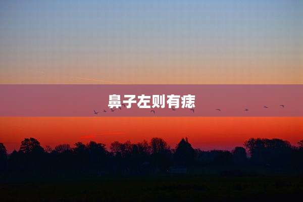 鼻子左则有痣