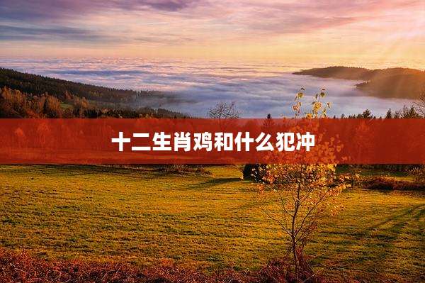 十二生肖鸡和什么犯冲