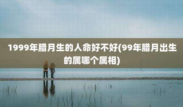 1999年腊月生的人命好不好(99年腊月出生的属哪个属相)