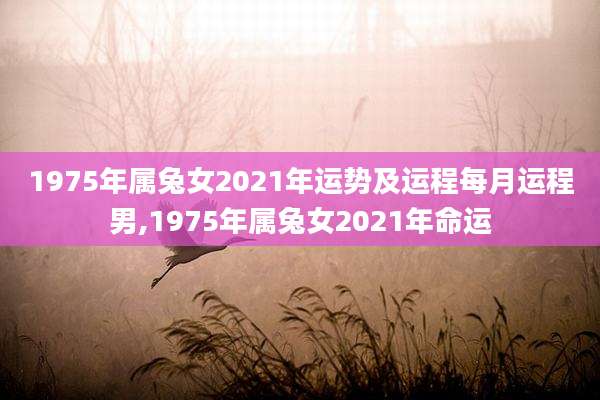 1975年属兔女2021年运势及运程每月运程男,1975年属兔女2021年命运