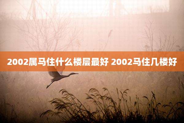 2002属马住什么楼层最好 2002马住几楼好