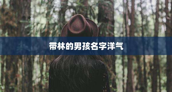 带林的男孩名字洋气
