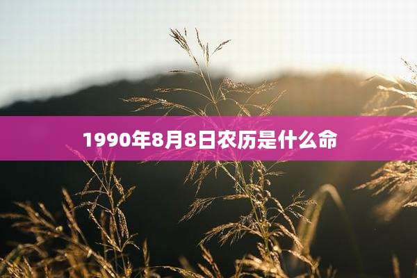 1990年8月8日农历是什么命