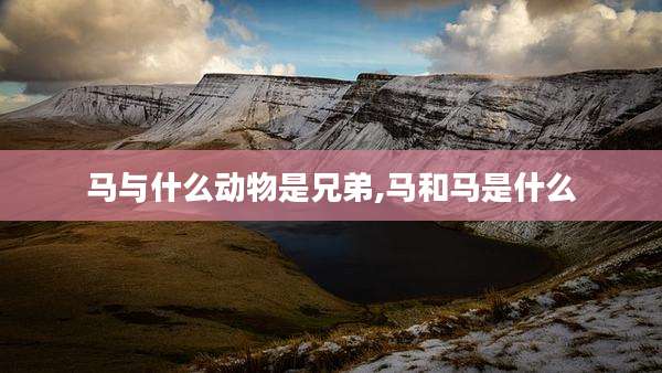 马与什么动物是兄弟,马和马是什么