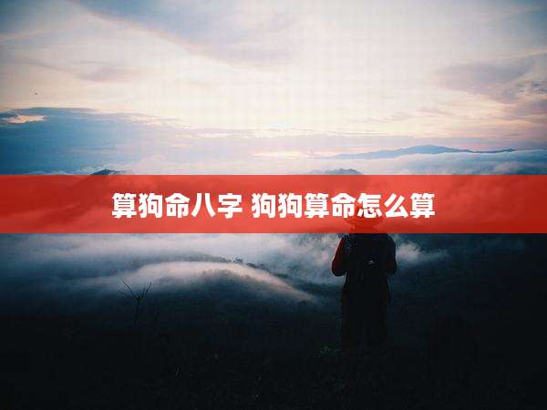 算狗命八字 狗狗算命怎么算