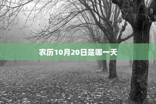 农历10月20日是哪一天