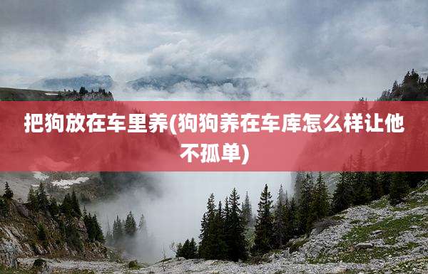 把狗放在车里养(狗狗养在车库怎么样让他不孤单)