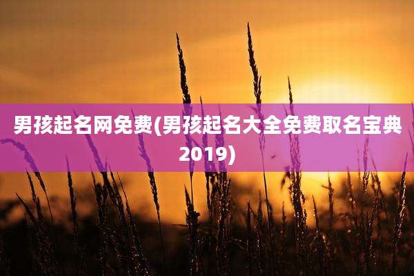 男孩起名网免费(男孩起名大全免费取名宝典2019)