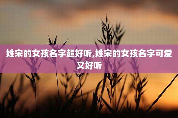 姓宋的女孩名字超好听,姓宋的女孩名字可爱又好听