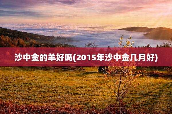 沙中金的羊好吗(2015年沙中金几月好)