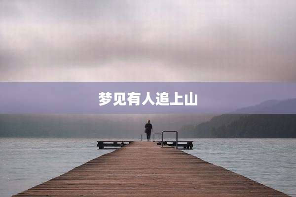梦见有人追上山